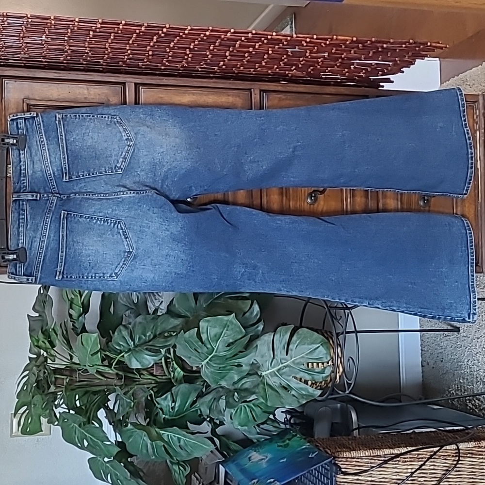 We the Free People, CRVY Robin Flare Size 30